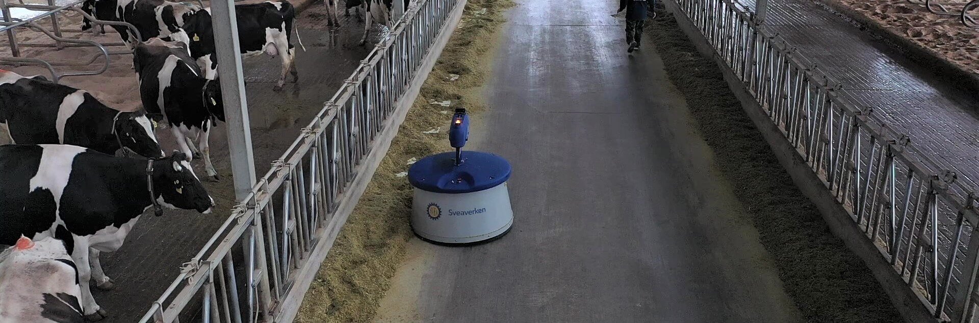 A New Mode of Efficient Dairy Farming - Sveaverken Feed Pushing Robot