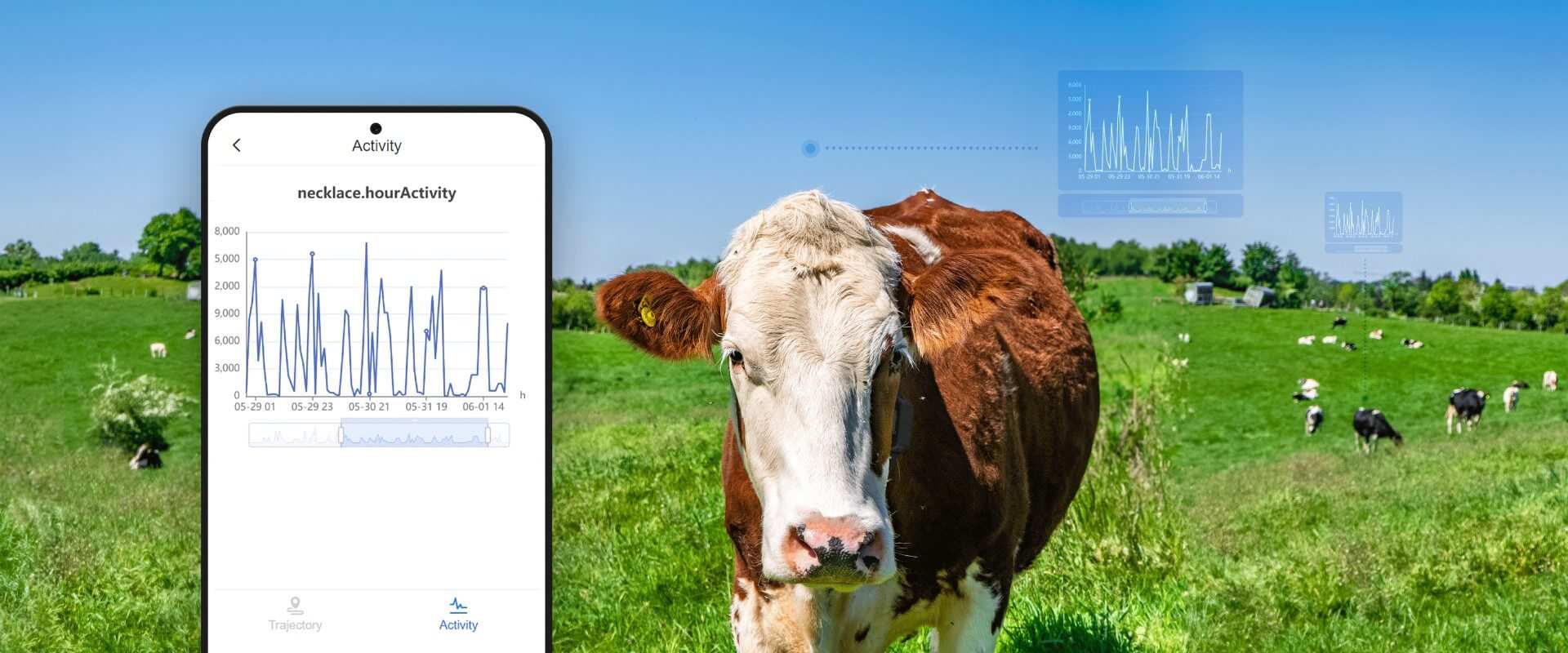 equipment status monitoring