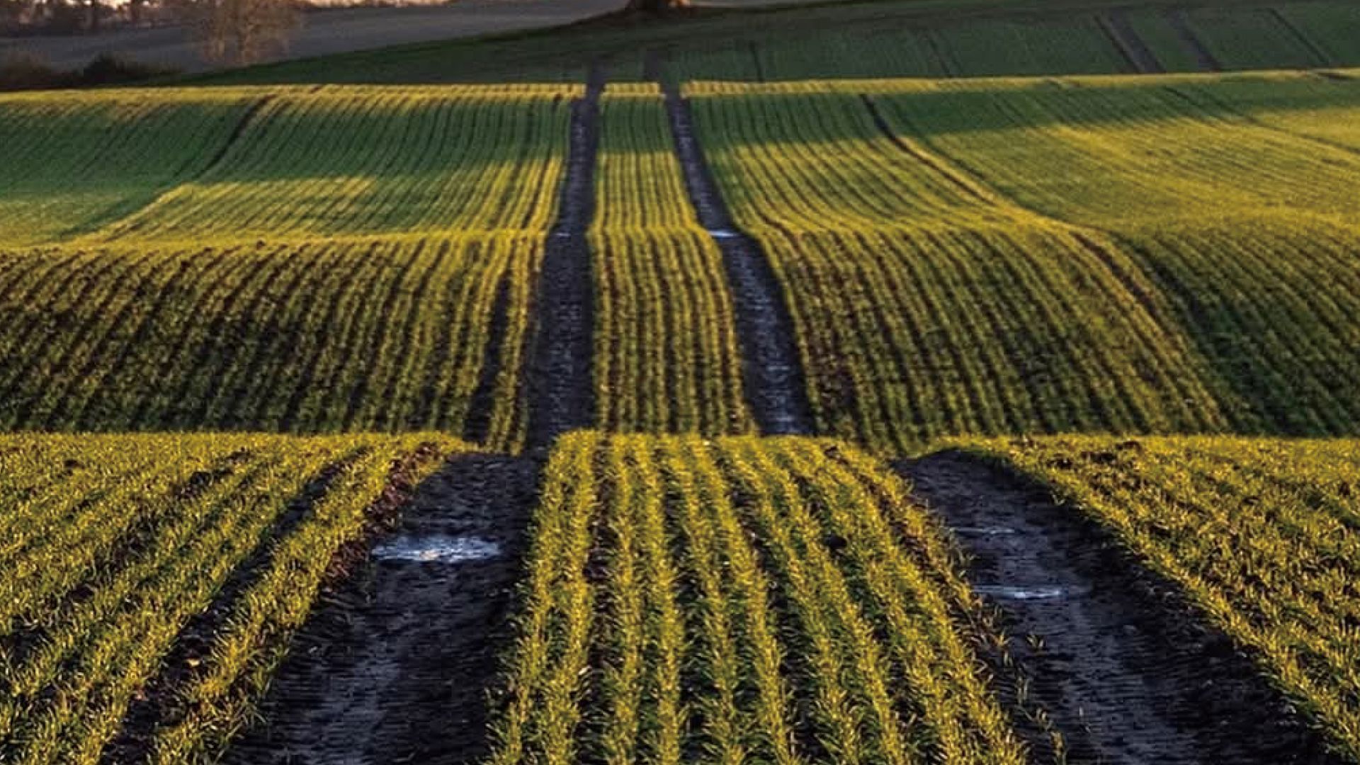 Sveaverken F200 Max Auto Steer System – Built for Precision