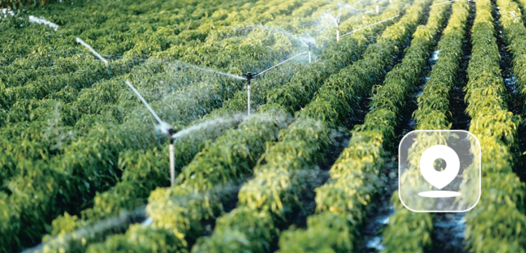 FieldFusion Farm Management System | Smart, Connected Farming
