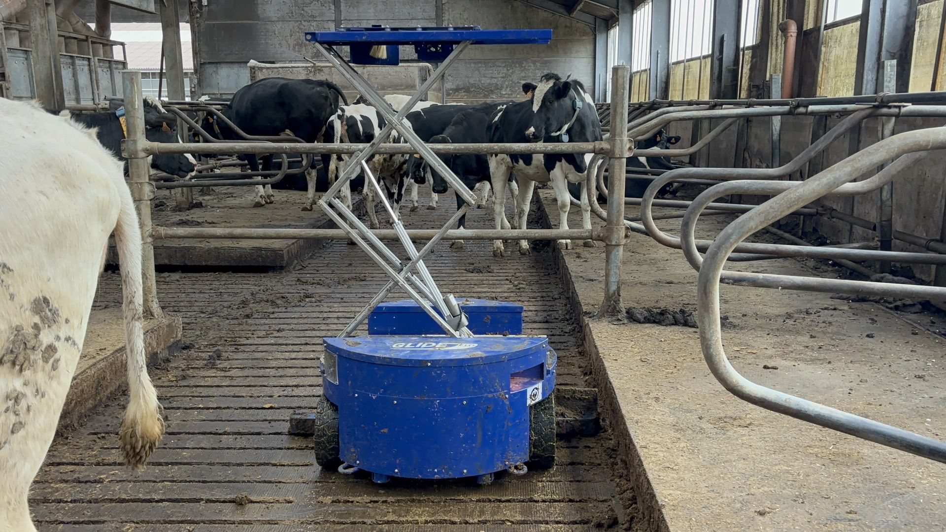 Sveaverken - Animal Farming with Automation