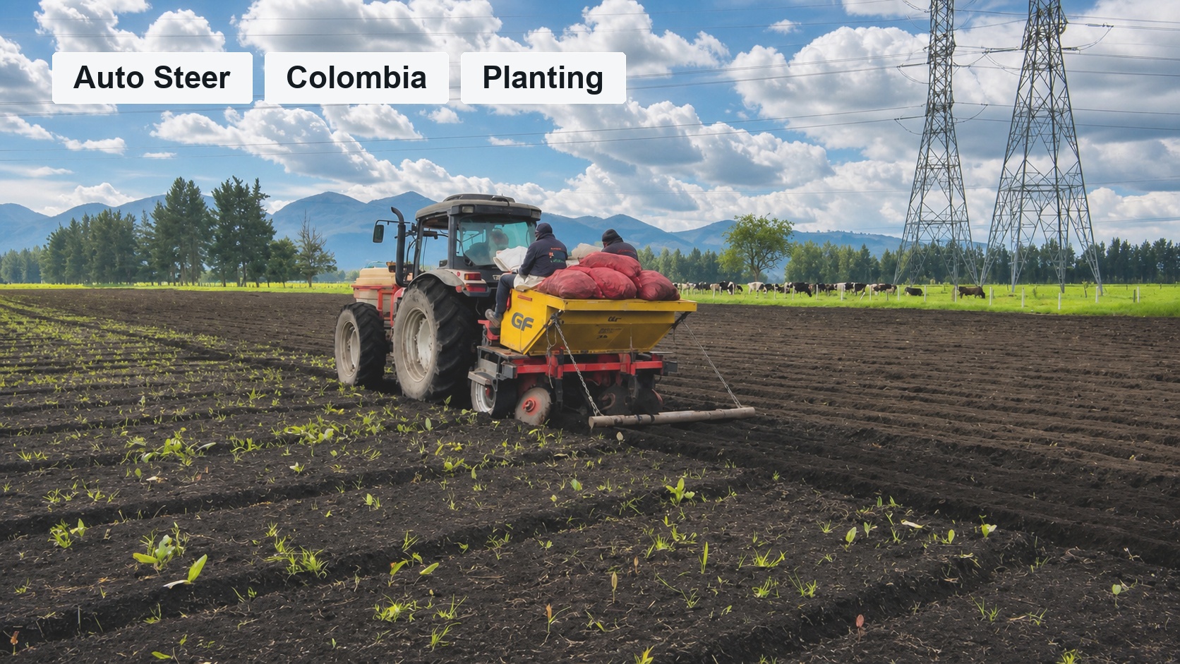 Fabian and Manuel Planting Customer Story in Colombia