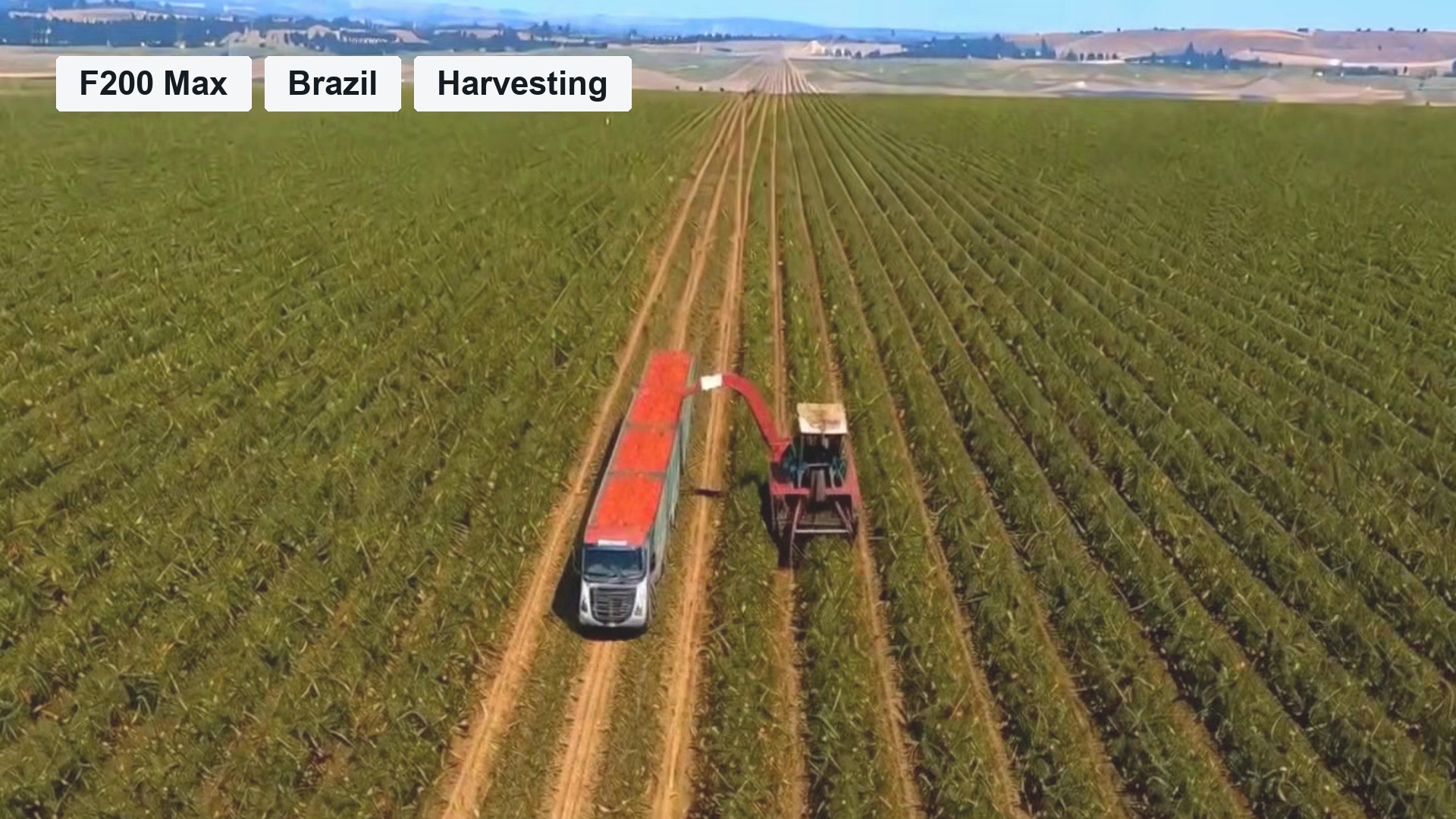 Precision Guidance for Tomato Harvesting in Brazil